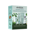 SCALP RENEWAL HAIRCARE SET